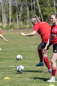Bild 84 - F SG NieBar - IF Stjernen Flensborg : Ergebnis: 2:0